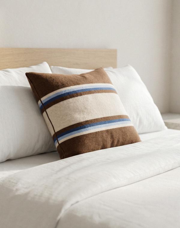 Cushion