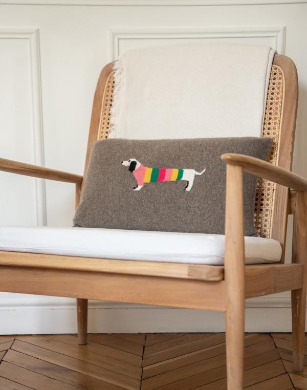 Cushion