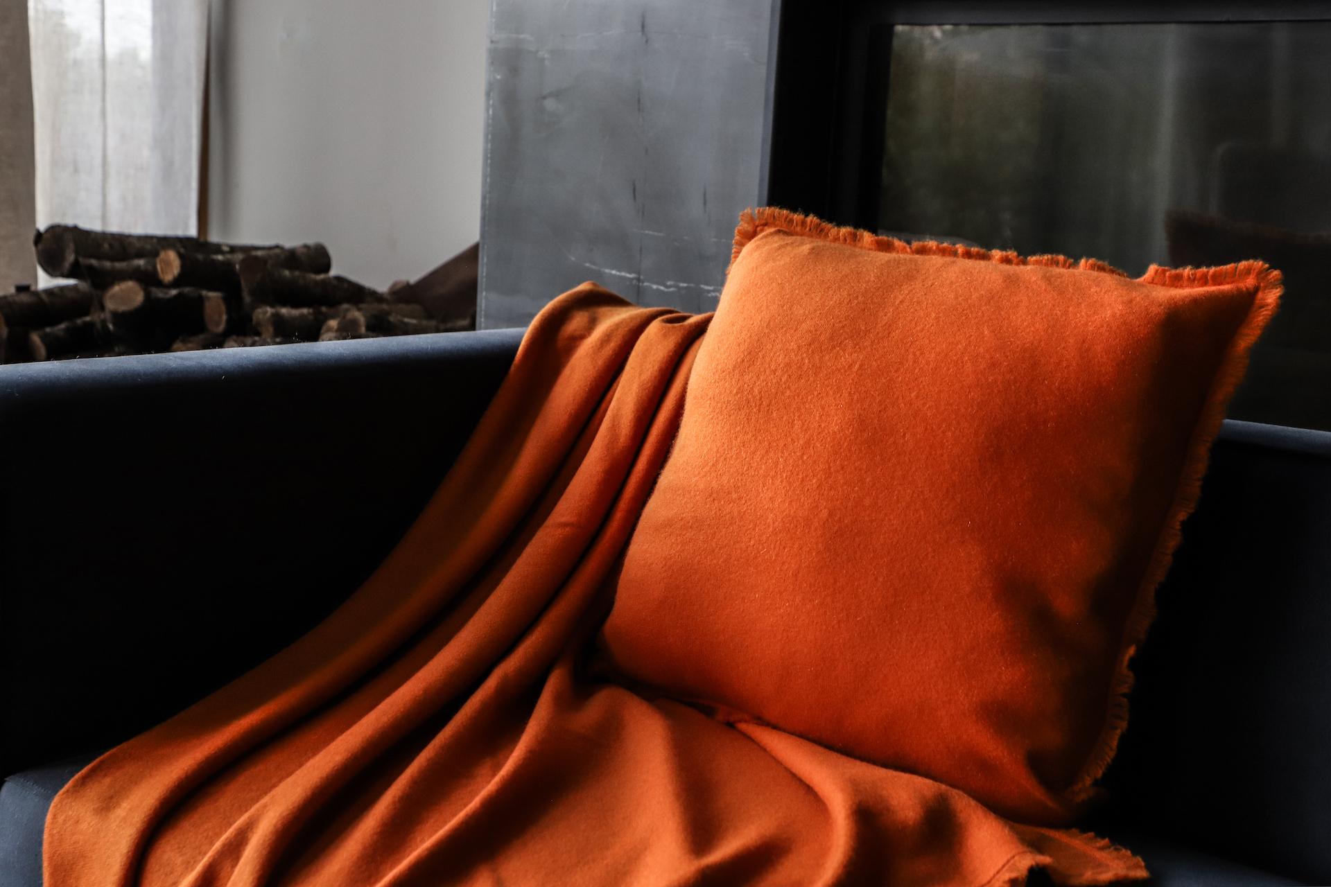 Cushion