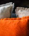 Cushion
